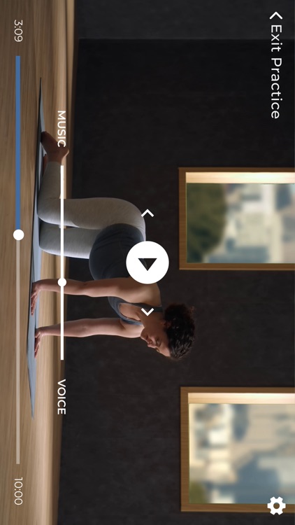 Prenatal Yoga | Down Dog screenshot-4