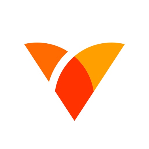 Vida Health