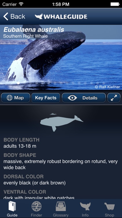 WhaleGuide for iPhone