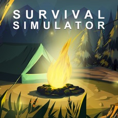 Activities of Survival Simulator