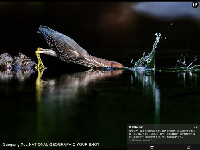 國家地理－每日精選