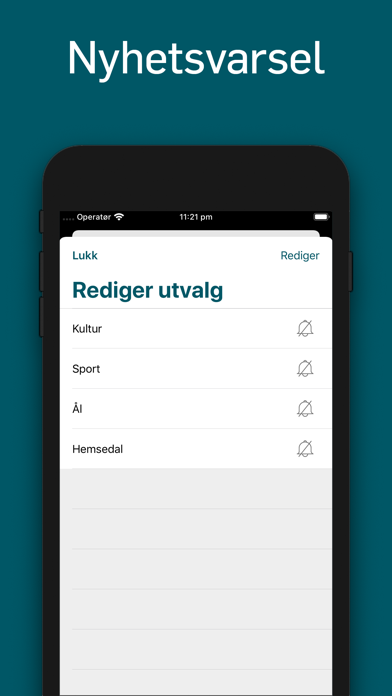 Hallingdølen screenshot 3