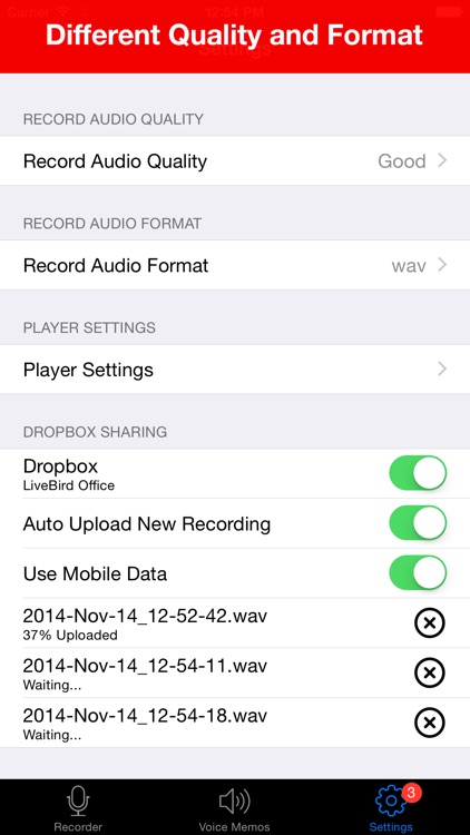 Voice Recorder - Audio Record screenshot-4