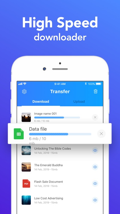 Bolt Offline: Files & Music