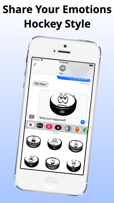 Ice Hockey Puck Emojis screenshot 4