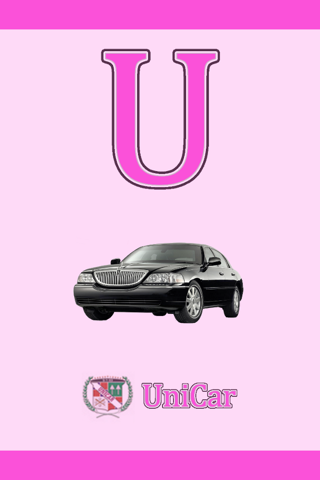 UniCar - náhled