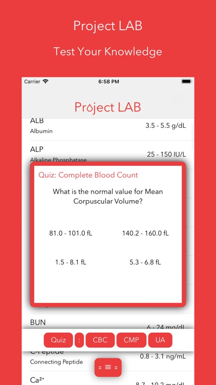 Project LAB screenshot-5