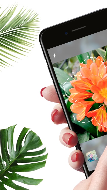 Plantyx - Plant Identification