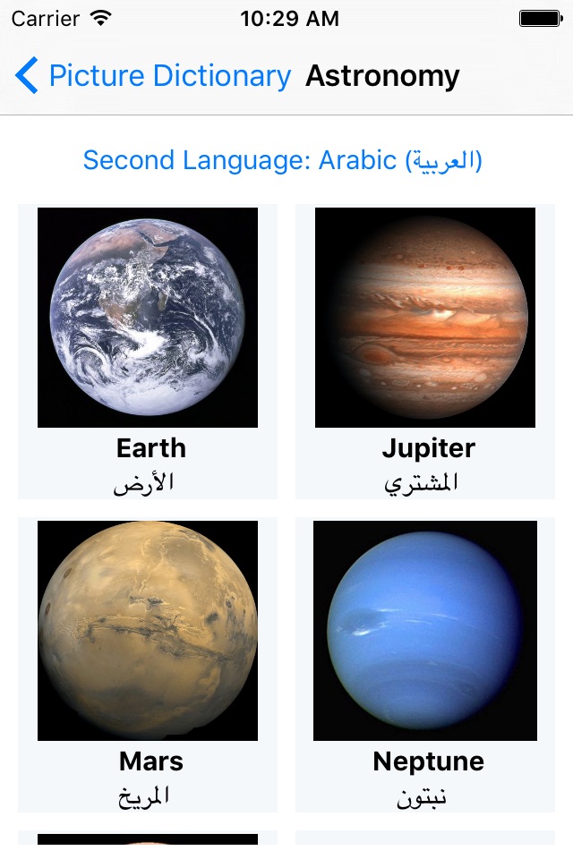 Dictionary with pictures screenshot 2