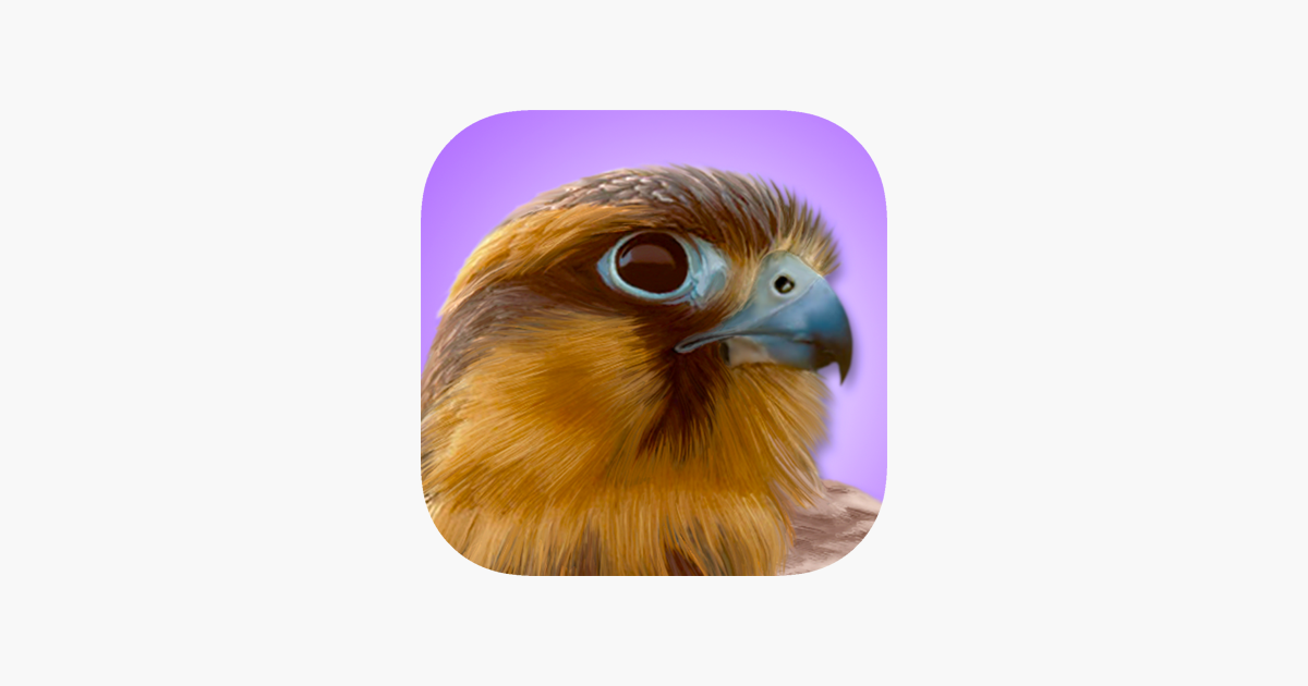 Ibird Pro Guide To Birds - 