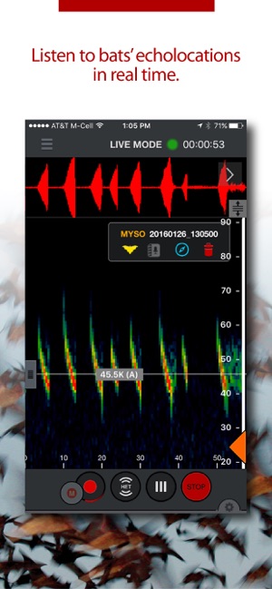 Echo Meter Touch Bat Detector(圖2)-速報App