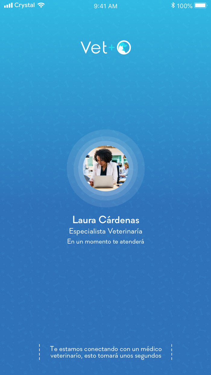 Veterinario Online VETO