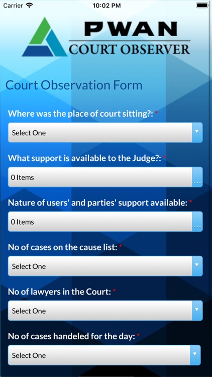 PWAN Court Observer screenshot-5