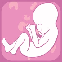 Contacter Mon Battement De Coeur De Bébé