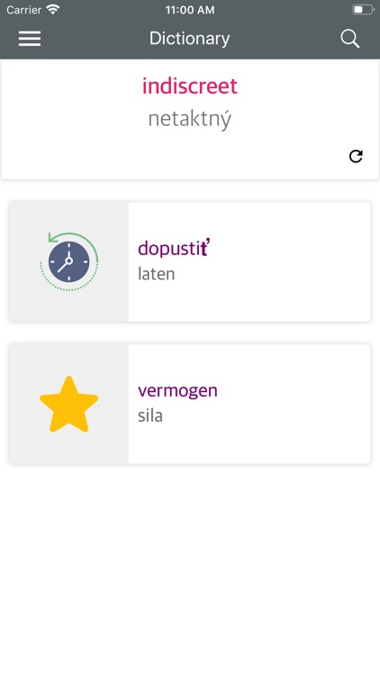 Dutch Slovak Dictionary screenshot-6