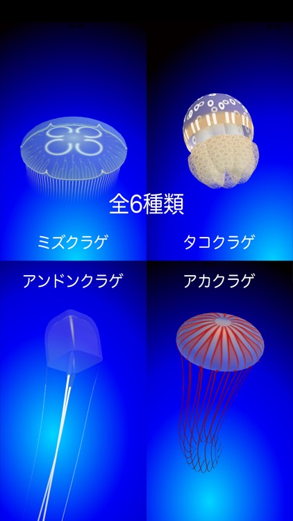 Jellyfish Simulator