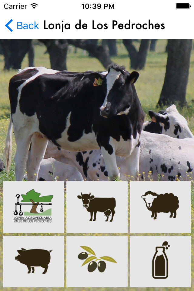 La Lonja de Los Pedroches