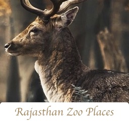 Rajasthan Zoo Places