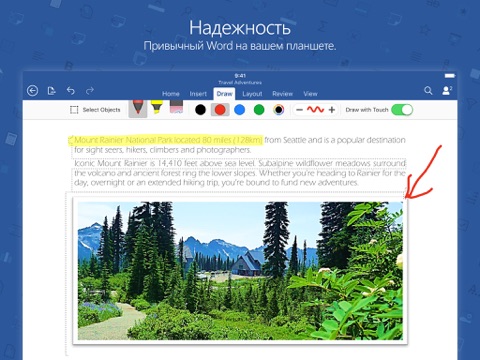 Скриншот из Microsoft Word