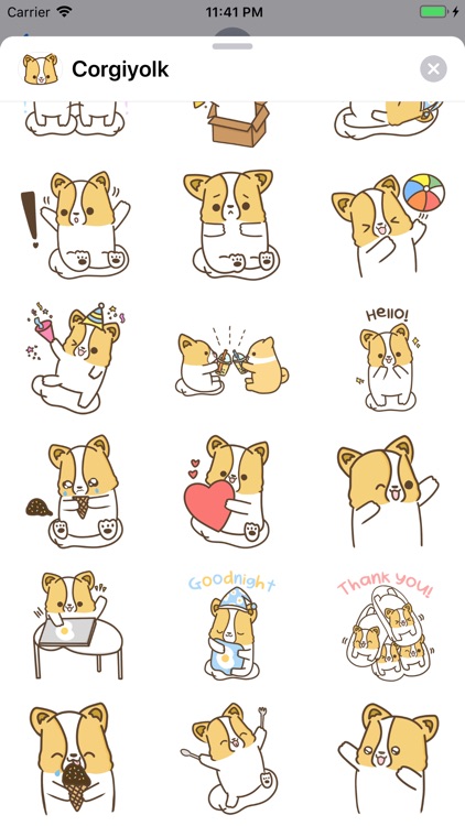Corgiyolk