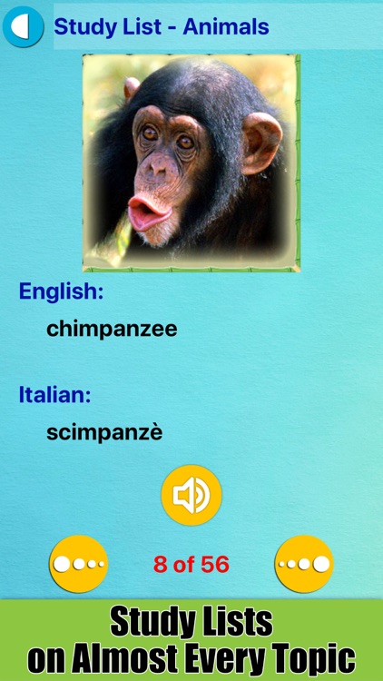 Learn Italian with Pictures screenshot-9