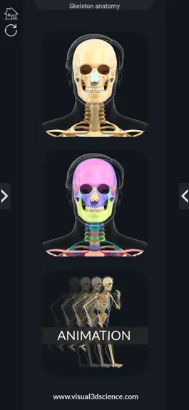 Game screenshot AR Skeleton Anatomy apk