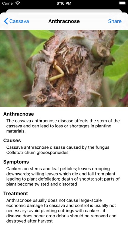 Plant Scope