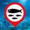 Fish Where is a powerful personal database for fishing locations, with a Map and List of fishing location coordinates and real-time GPS navigation