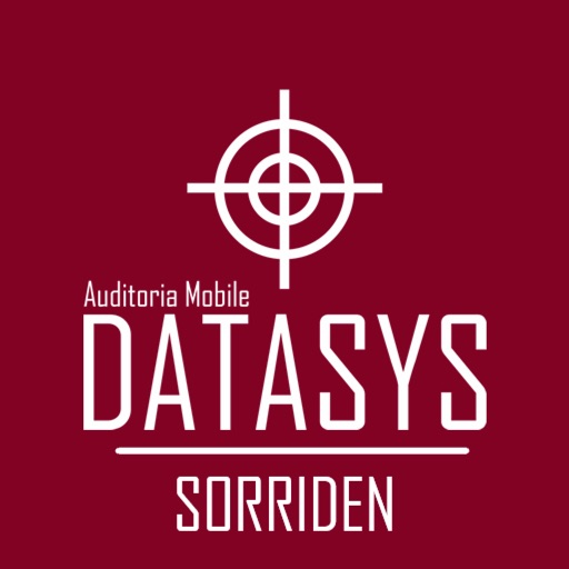 Audit Sorriden Datasys