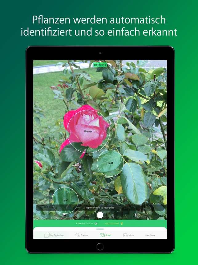 Plantsnap Pflanzen Bestimmen Im App Store