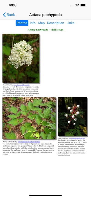 Illinois Wildflowers(圖3)-速報App