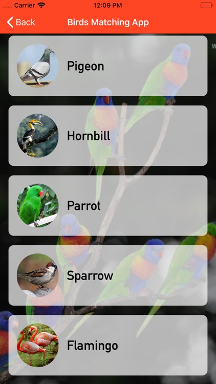 Birds Matching App