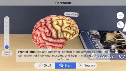 【图】Brainapse(截图3)