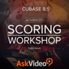 Advanced Scoring For Cubase