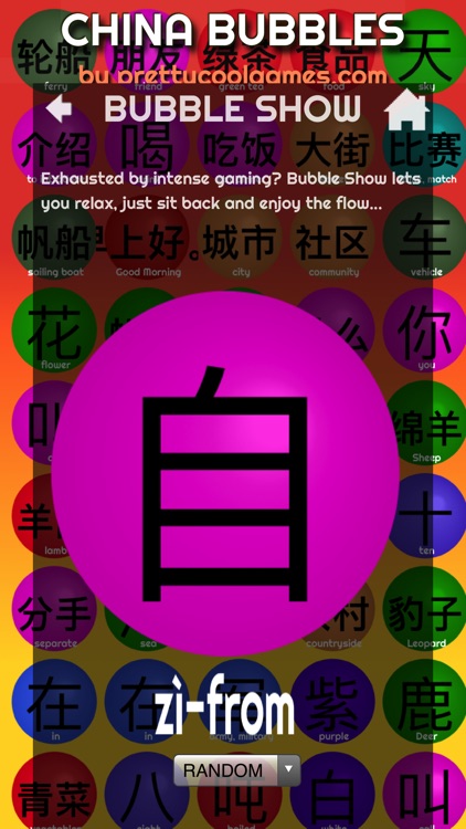 LEARN CHINESE w. CHINABUBBLES screenshot-8