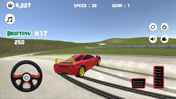 Drift In Forest