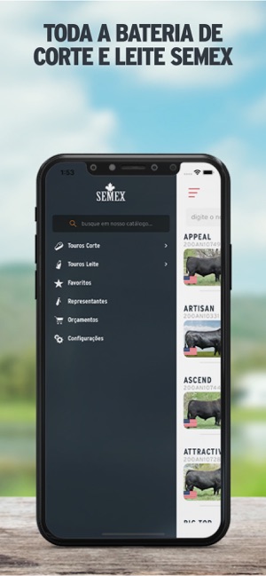 Semex Brasil(圖2)-速報App