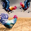 Wild Rooster Chicken Simulator