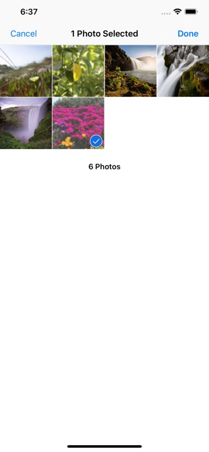 Focal Photo Manager(圖2)-速報App