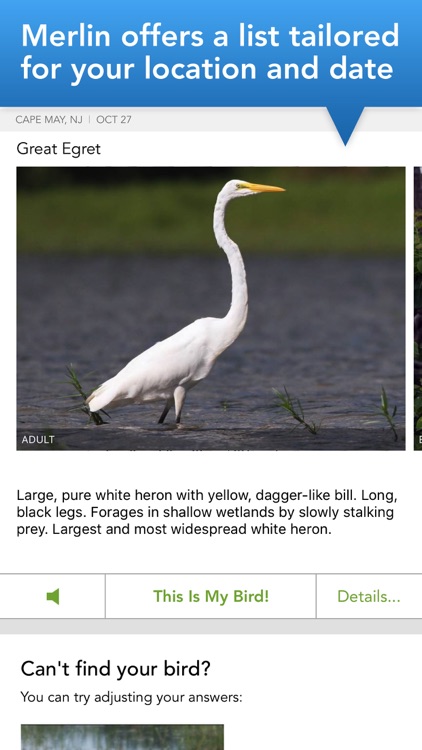 Merlin Bird ID by Cornell Lab screenshot-3