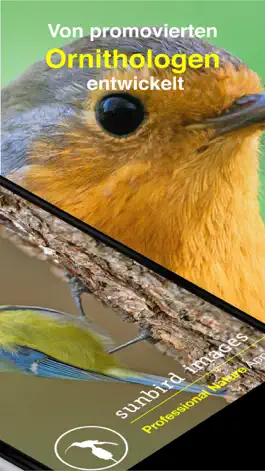 Game screenshot Vogel Id Gartenvögel bestimmen apk