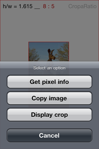 CropaRatio Little screenshot 3