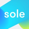 SOLE - Accounting made easy