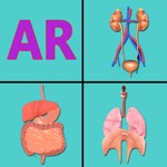 Download AR Incredible human body app