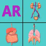 AR Incredible human body App Problems