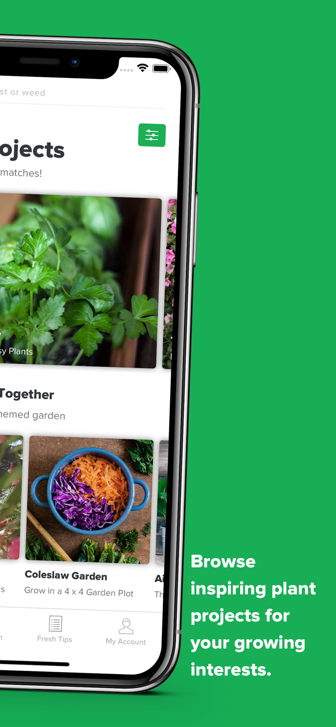 My Garden Inspiration To Grow