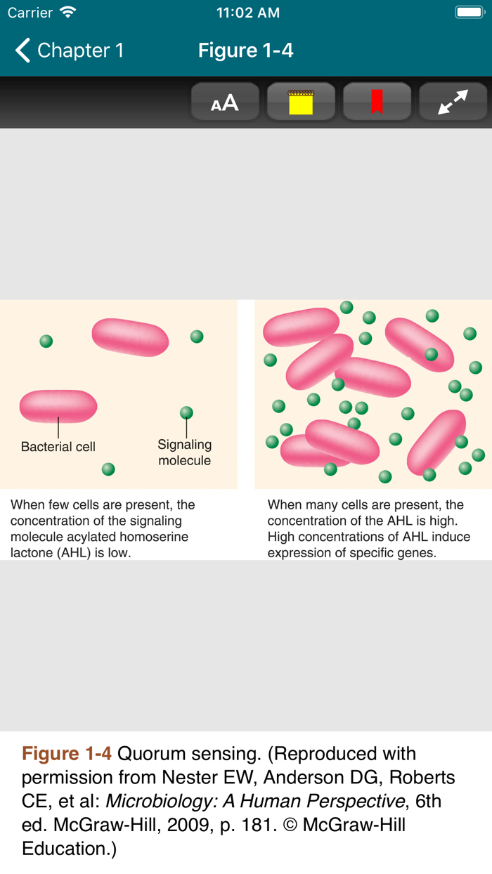 Medical Microbiology, 28/E