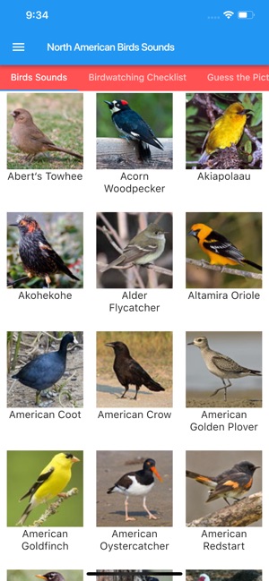 North American Birds and Sound