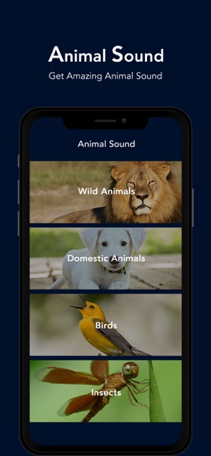 Animal Sound - Zoo Fun(圖1)-速報App