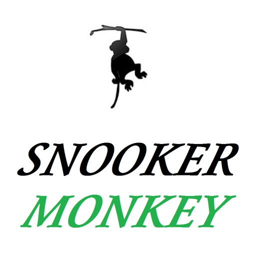 SNOOKER MONKEY